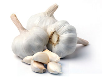 Ajo Orgánico Extra White